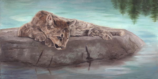 (Image)